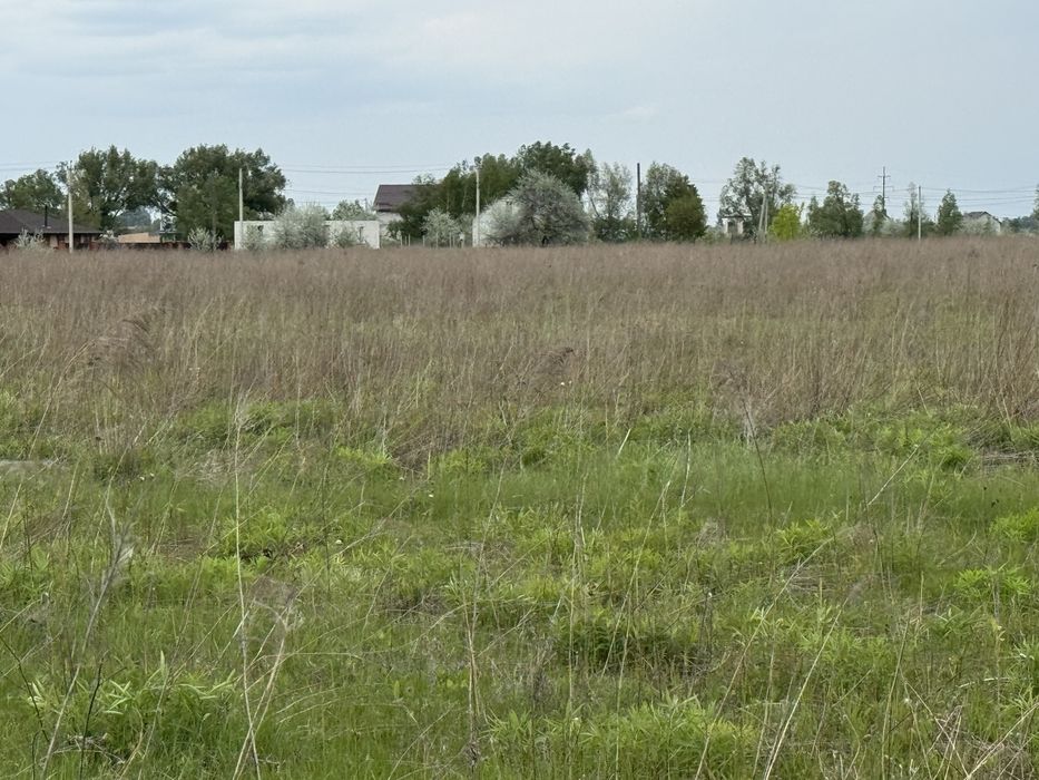 Земельна ділянка фасадна! 3га!! Бориспіль!