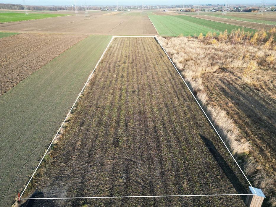 SPRZEDAM DZIAŁKE NA PŁOSKIM ( 26 arów - blisko lasu) - Widok 4
