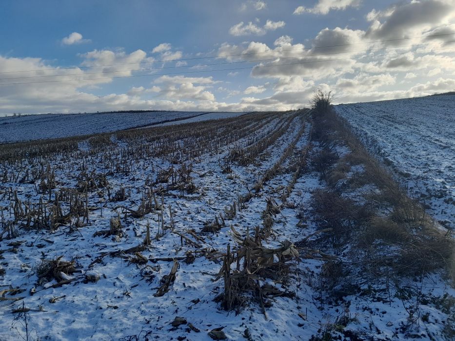 Pole orne 1,6h Jakubowice