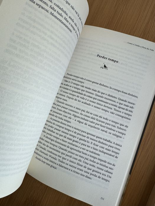 Livro Miguel Esteves Cardoso