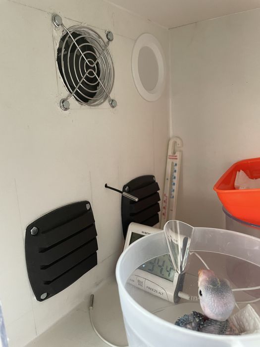 Maternidades para aves