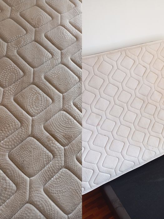 Limpeza profissional de sofás colchões carpetes e tapetes