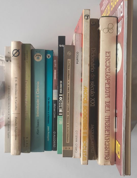 Lote livros variados