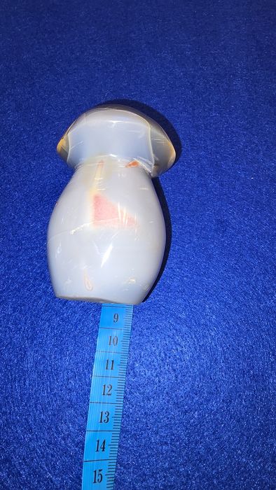 Cogumelo em polychrome jaspe