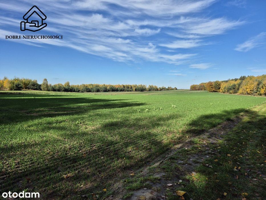 Działka budowlana - Polanówka - 1000m2