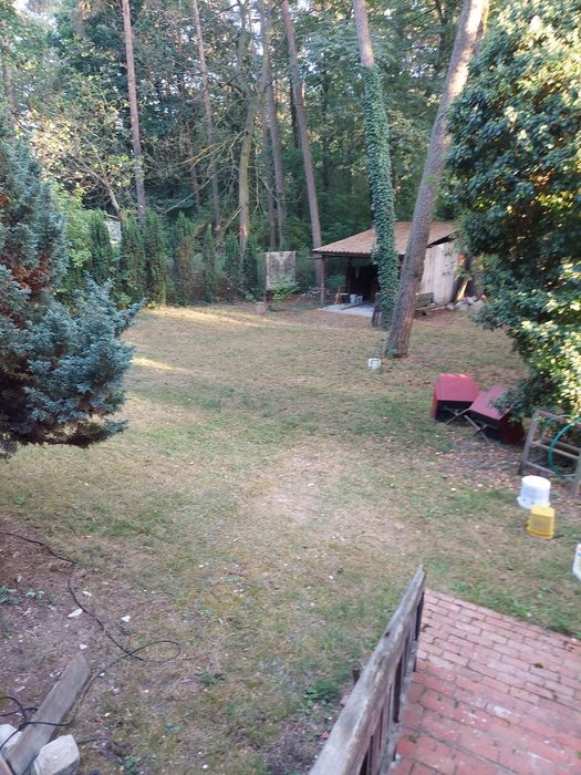 Dom do wynajęcia Podkowa Leśna