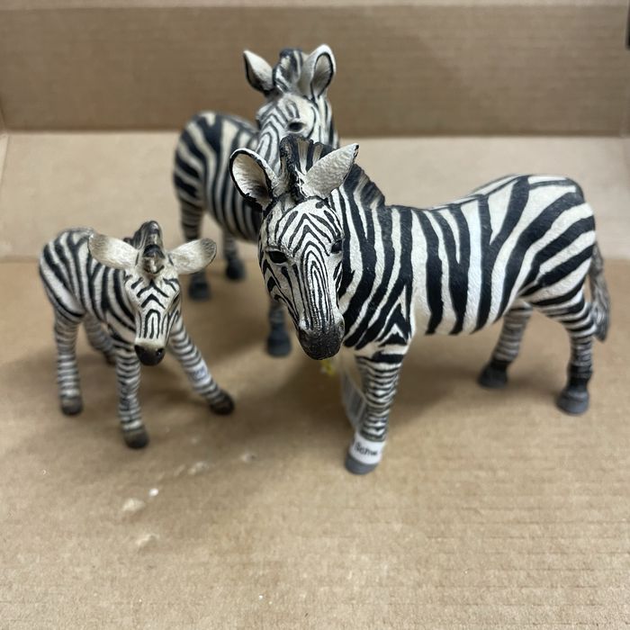 Familia zebra sleich