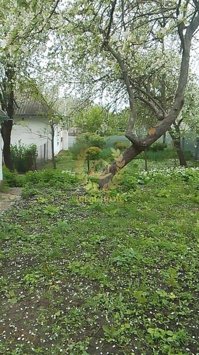 Продам будинок у Денихівці, 3 кімнати