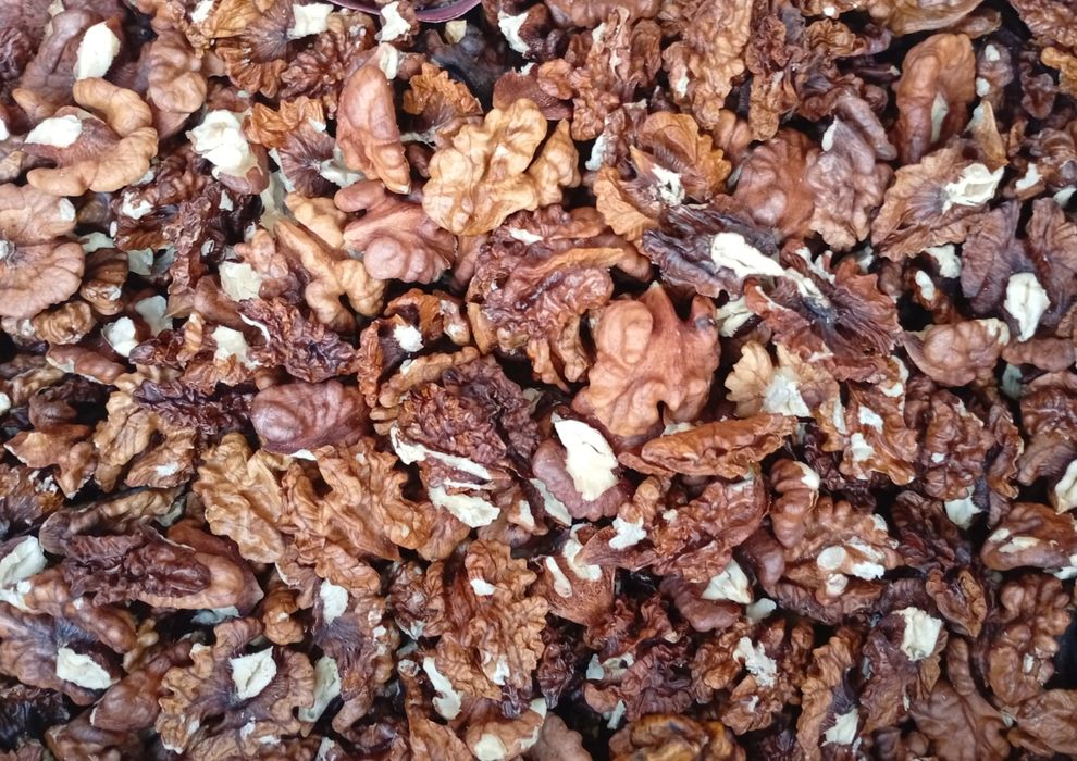 Горіх волоський (Орех грецкий). Ядро темне (янтарь)