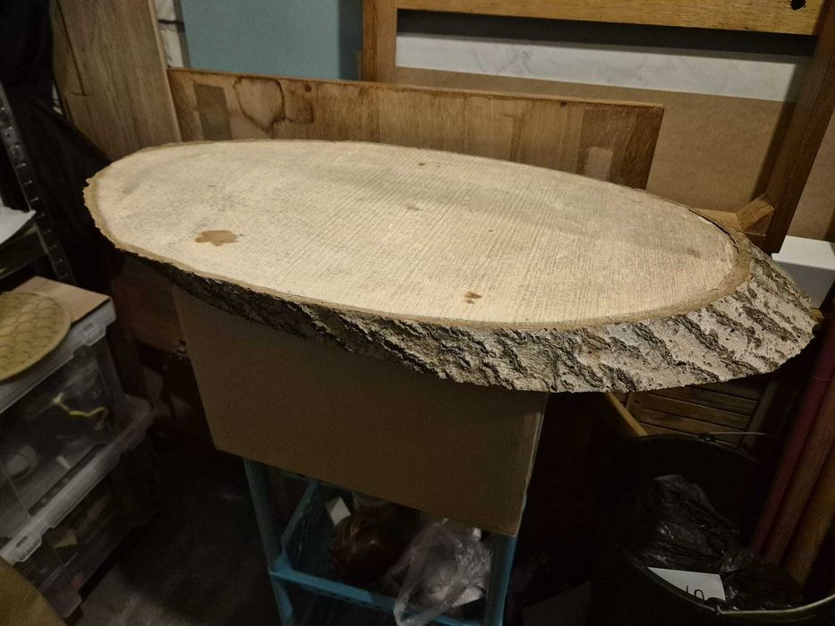 Plastry drewna, krążki drewniane, plaster na stół, stolik, topola