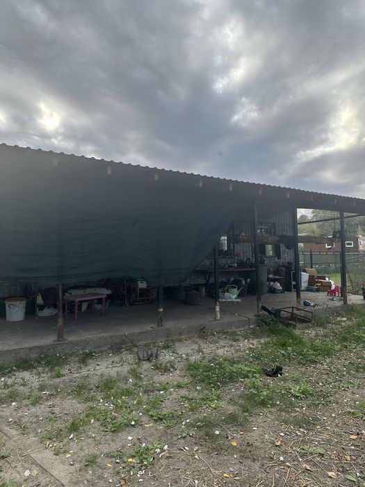 Терміновий продаж земельної ділянки 1 лінія річки Снов