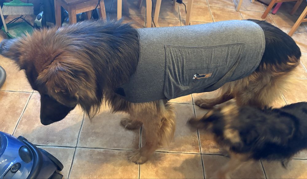 Kamizelka uciskowa dla psa lękowego XL Thindershirts