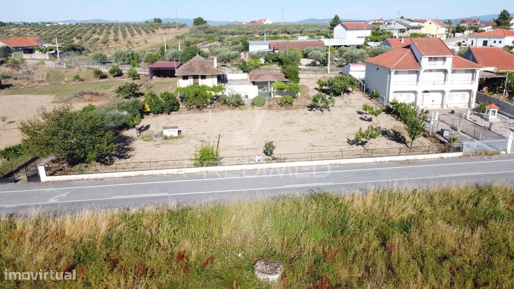 Detached House with Land and Olive Grove for Sale in Bouça – Mirandela