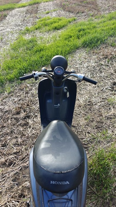 honda tooday af61