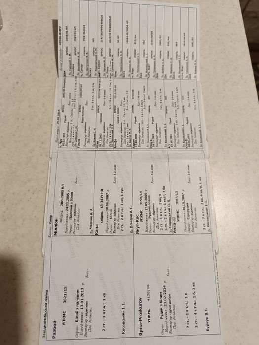 Цуценята західно сибірської лайки