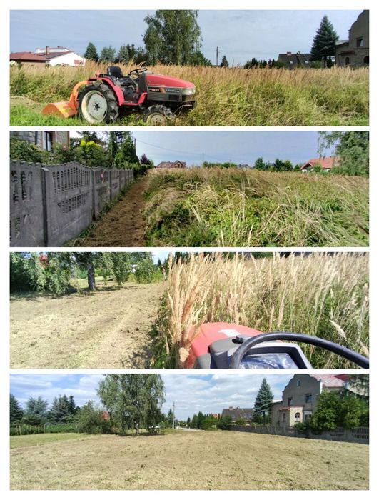 Wycinka drzew, czyszczenie działek, pracę na wysokości, pilarz, drwal,