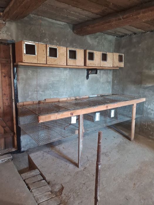 Клітка для кріликів, маточники