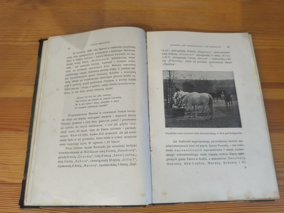 Sylwetki koni oryentalnych i ich hodowców wydanie 1906