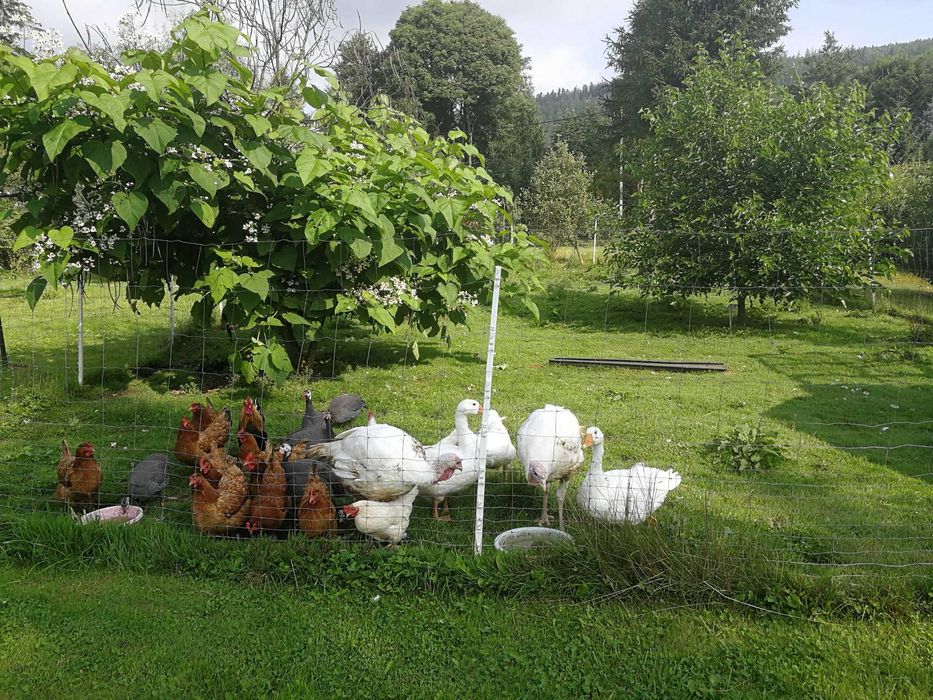 nocleg w górach, agroturystyka