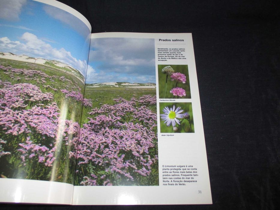 Livro Flores do Campo Bruno P. Kremer
