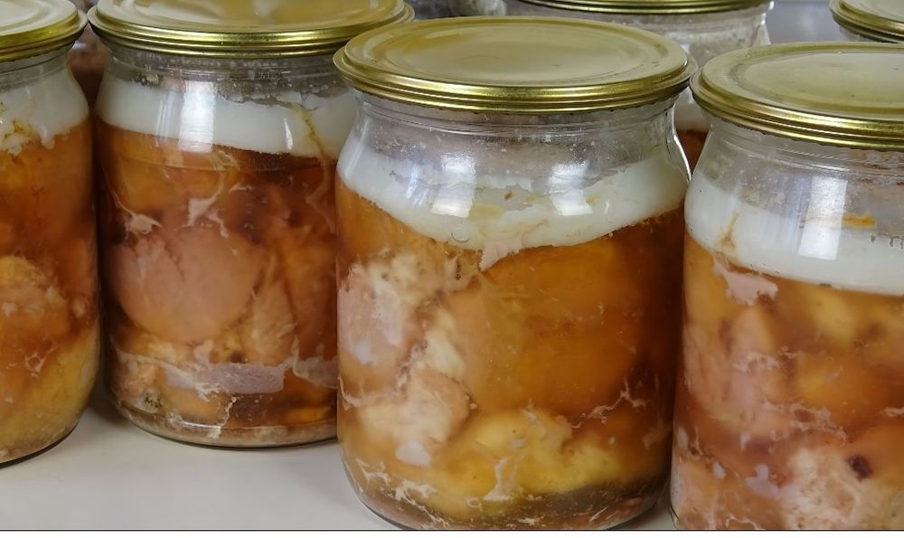 М'ясна , домашня, якісна. Тушонки .