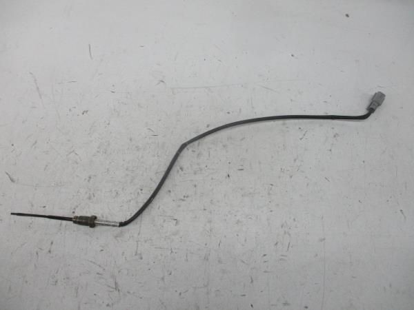 Sensor Temperatura Gases Escape NISSAN Note (E11, NE11)
