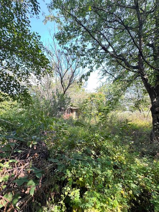 Продам дачу + 7с.з по Барському шосе