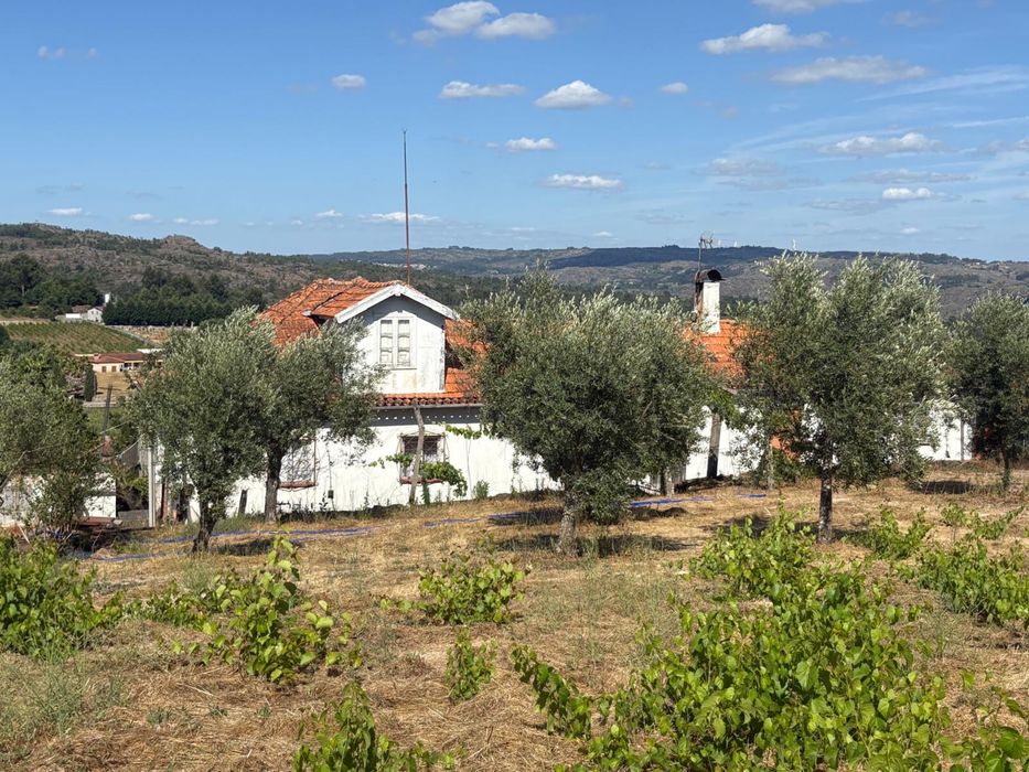 Casa rustica com quintal