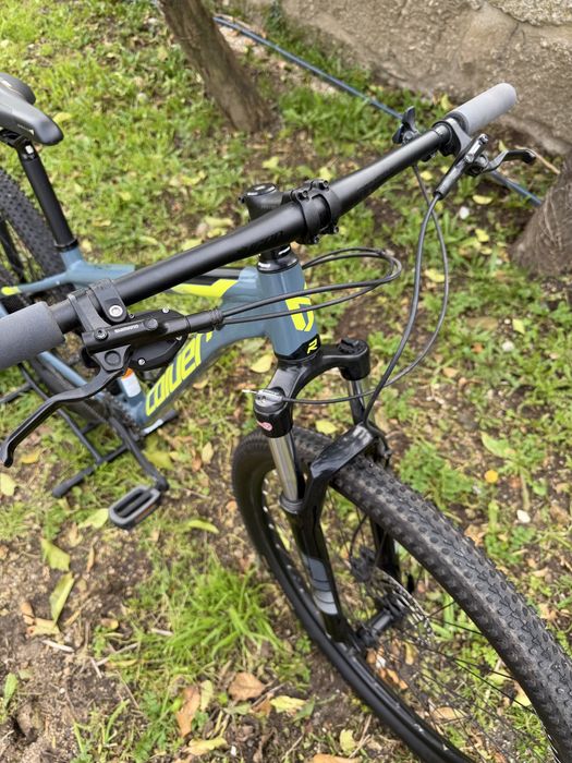 Coluer 29 - 12 velocidades