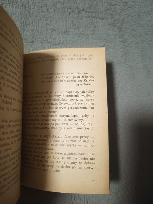 Dziennik pokładowy czyli o przygodach Buddy,Fai i Szeryfa