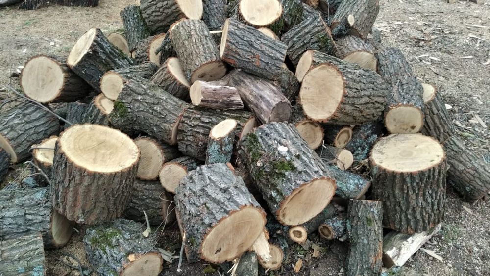 Продам дрова твёрдых пород