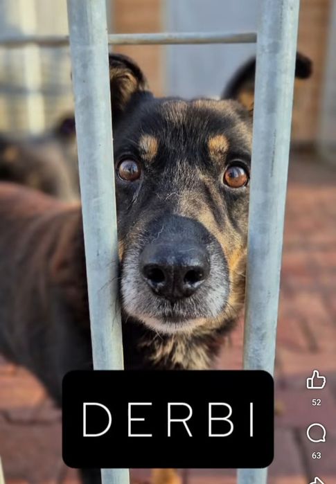 Derbi blaga o dom, ma czas do końca roku