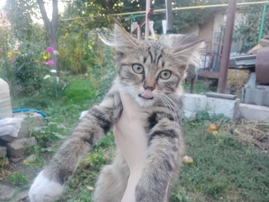 Візьміть в родину діточок