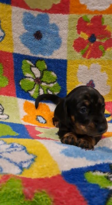 Чекає саме на Вас