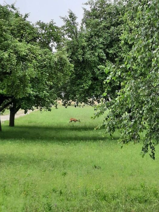 Atrakcyjne działki na sprzedaż