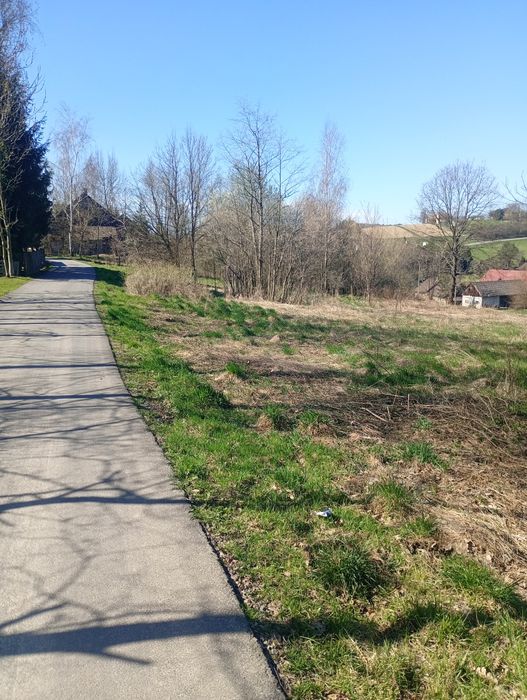 Dom z dużą działką - Widok 2
