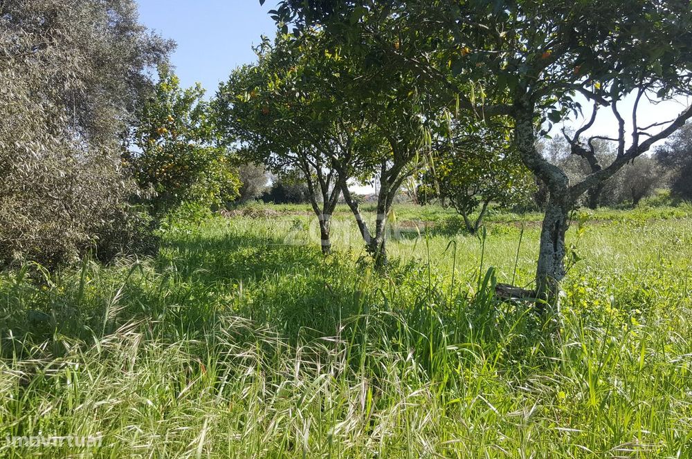 Terreno urbanizável em Milagres