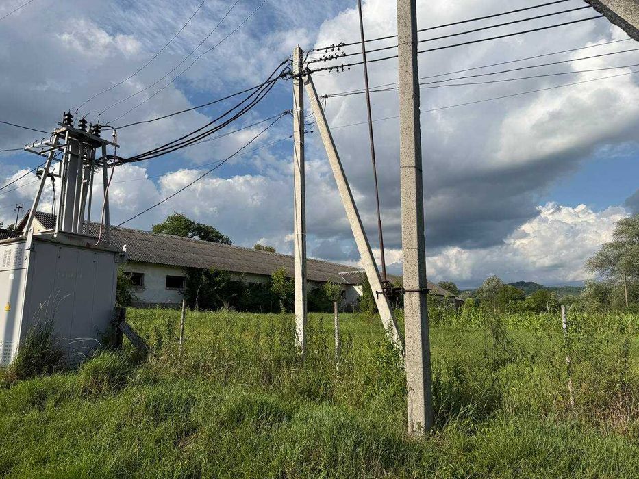 Виробниче приміщення, нежитлове приміщення, телятник, ферма