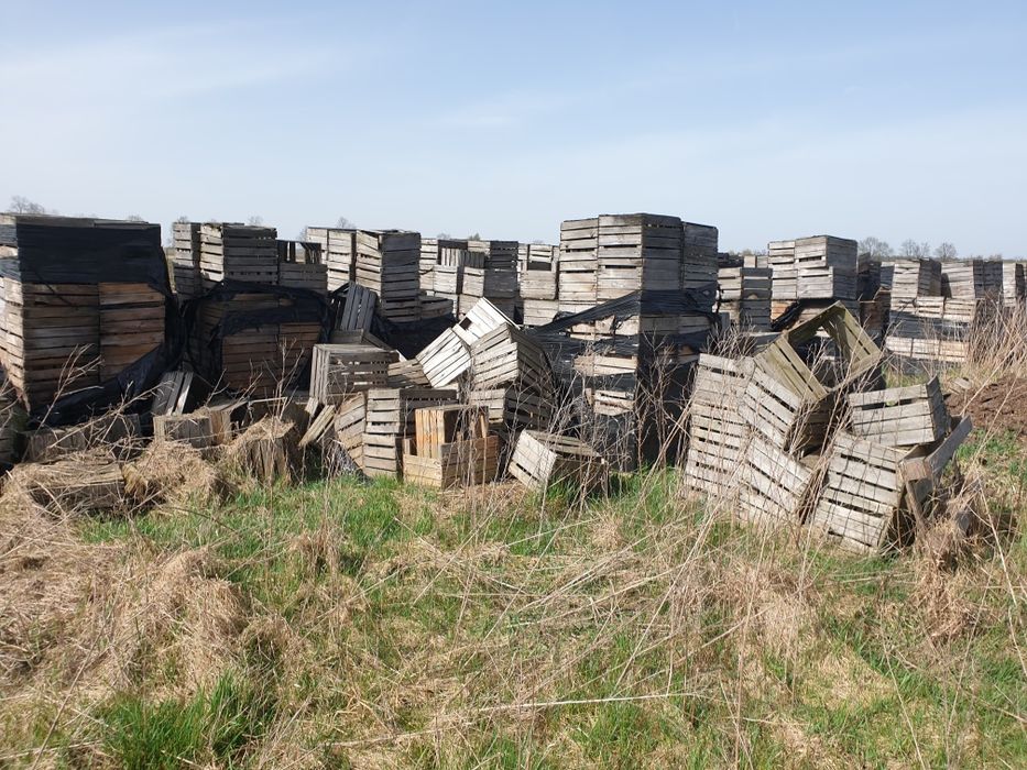 Skrzynki drewniane jedynki plastikowe do ogrodu na działkę doniczka