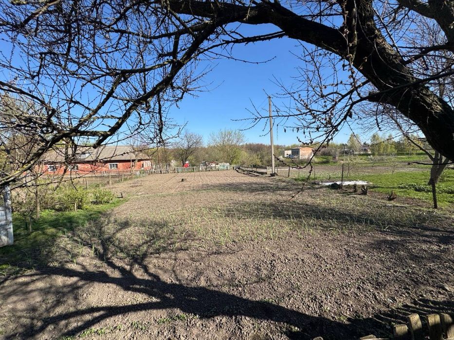 Продається будинов в центрі міста Буринь