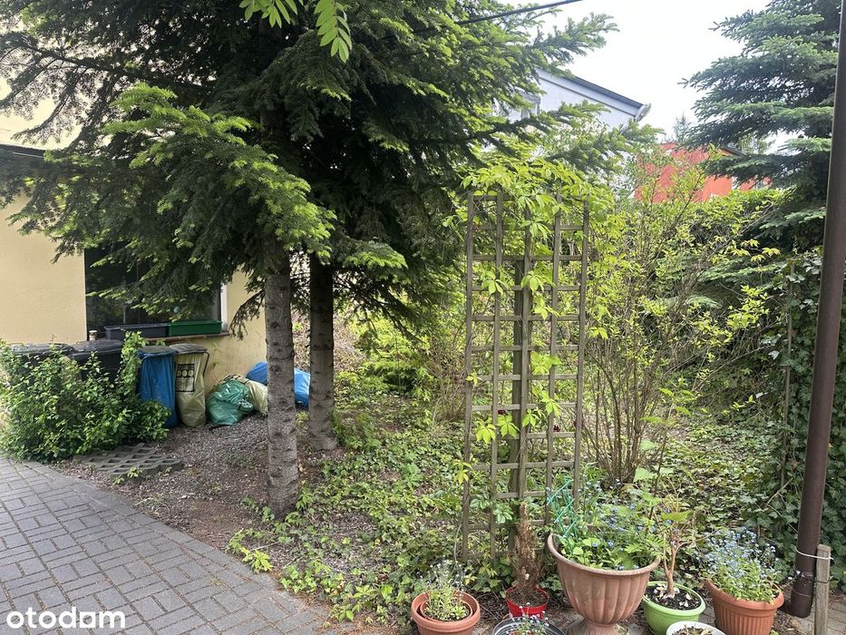 Piętro domu 78 m², ogródek , domek 40 m²,piwnica, udział w gruncie 556 m² - Widok 3