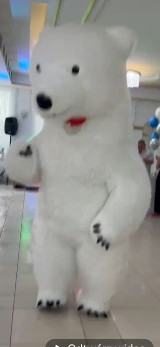 Miś, duży  mis na imprezy