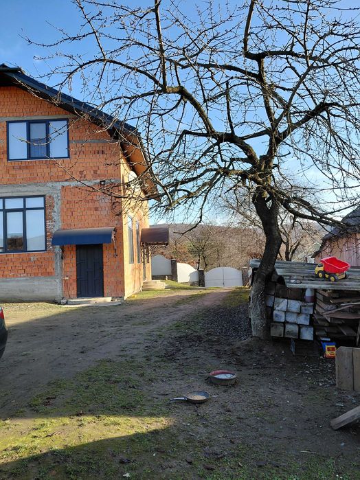 Просторий будинок в 9 км.від Мукачева