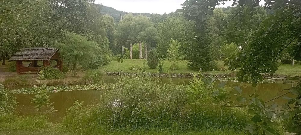 Ціну змінено! Продаємо ділянку у Квітки Полонини Солочин Закарпатськ