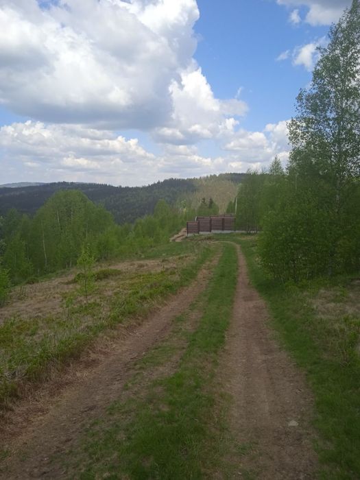 Продаж земельної ділянки під забудову с Вишків