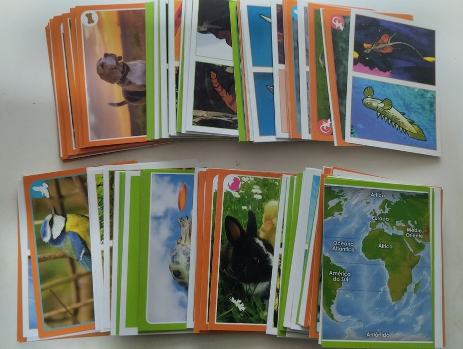 (174) Cromos de Animais 2020