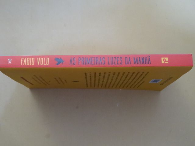As Primeiras Luzes da Manhã de Fabio Volo - Vários Livros