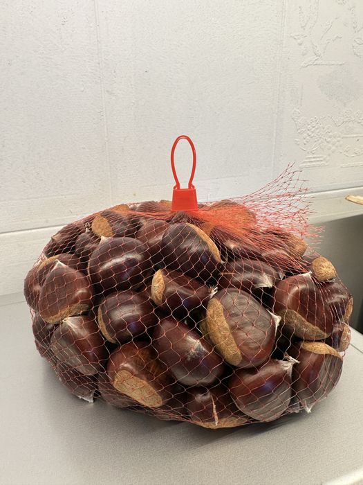 Castanhas Martainha e Judia