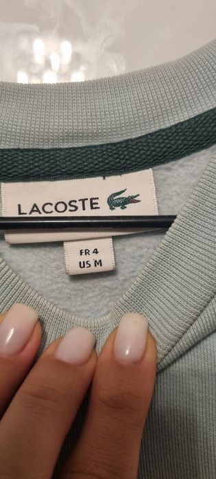 Komplet LACOSTE bluza krótkie spodenki,