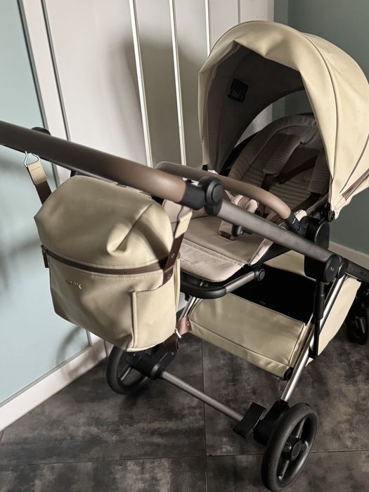 Anex Eli Muse 2024,